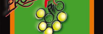Prosecchissima 2012, contenuti di alto livello, garantisce Miane Bike Team 